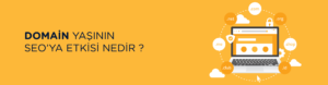 Domain Yaşının SEO’ya Etkisi Nedir?