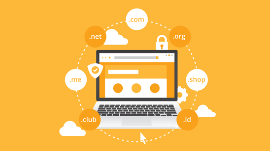 Domain Yaşının SEO’ya Etkisi Nedir?